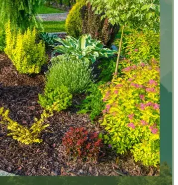 entretien jardin à Arradon - image 4