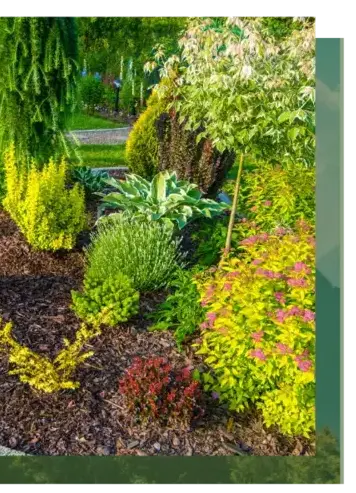 entretien jardin Auray-1
