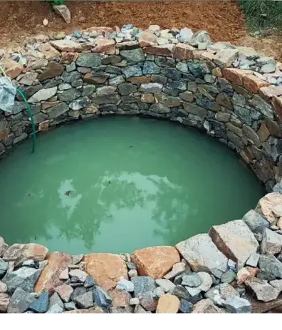 entretien jardin Baden-4