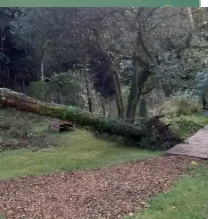 entretien jardin Baden-5