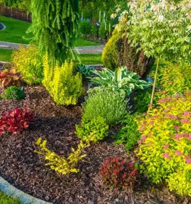 entretien jardin à Baud - image 4