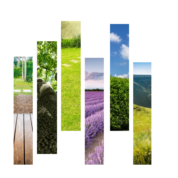 entretien jardin camors