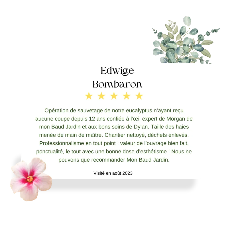 entretien jardin camors