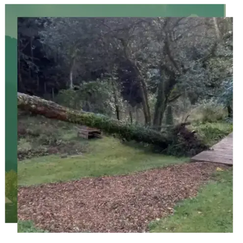 entretien jardin à Camors - image 4