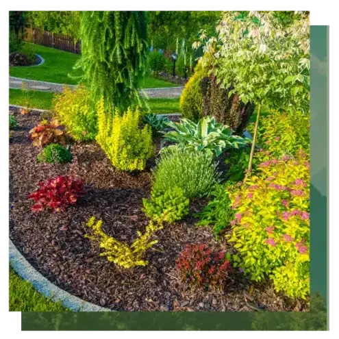 entretien jardin Camors-5