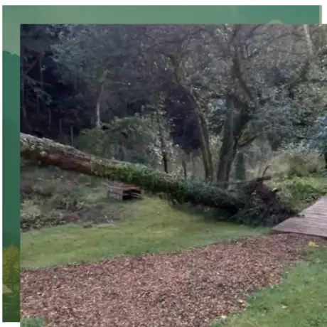 entretien jardin à Étel - image 2