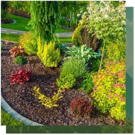 entretien jardin à Étel - image 4