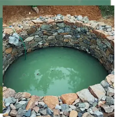 entretien jardin Étel-5