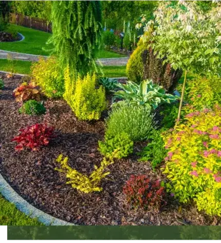 entretien jardin Le Bono-2