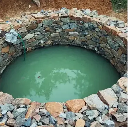 entretien jardin Le Bono-4