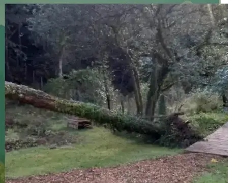 entretien jardin Le Bono-5