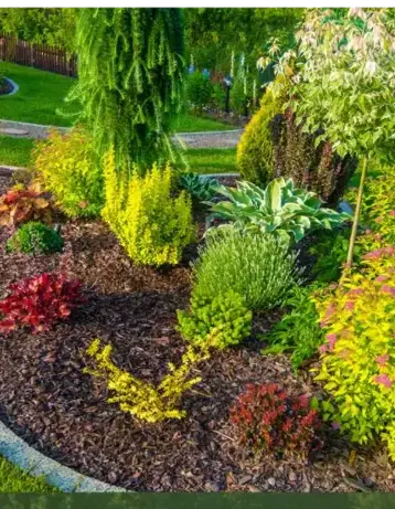 entretien jardin Locoal-Mendon-2