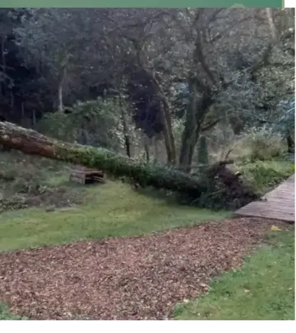 entretien jardin Locoal-Mendon-4