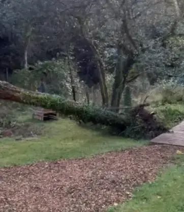 entretien jardin Lorient-1