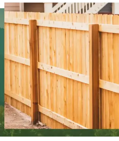 entretien jardin à Lorient - image 2