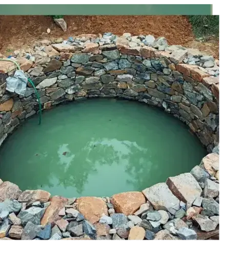 entretien jardin Lorient-5