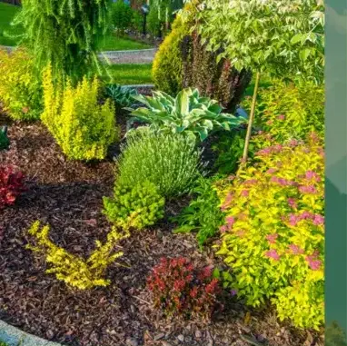 entretien jardin Pluvigner-1