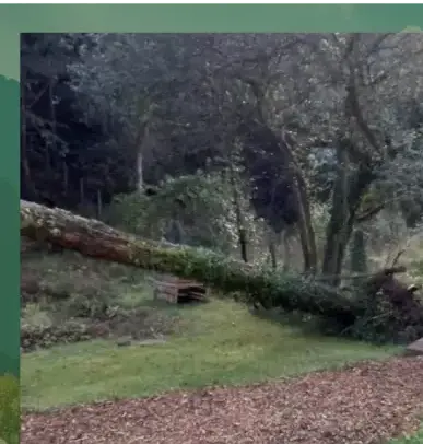 entretien jardin à Pluvigner - image 4