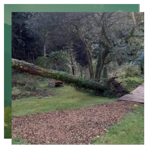 entretien jardin quistinic