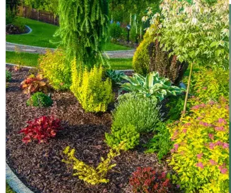 entretien jardin Vannes-1