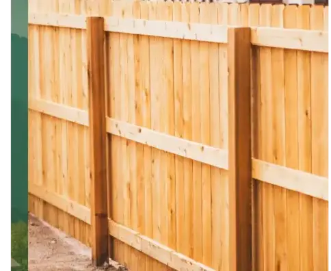 entretien jardin Vannes-2