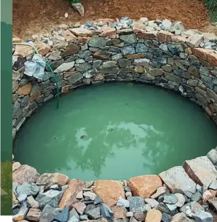 entretien jardin Vannes-3