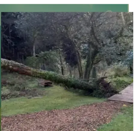 entretien jardin Vannes-5