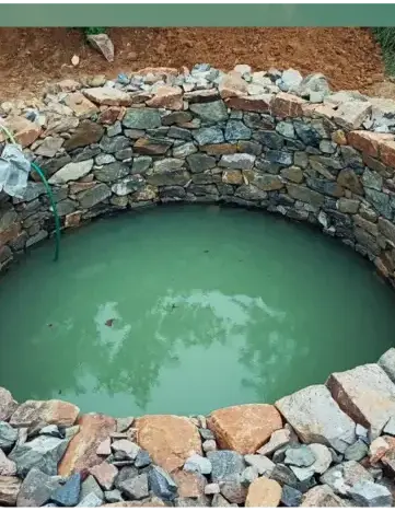 haubanage à Arradon - image 4