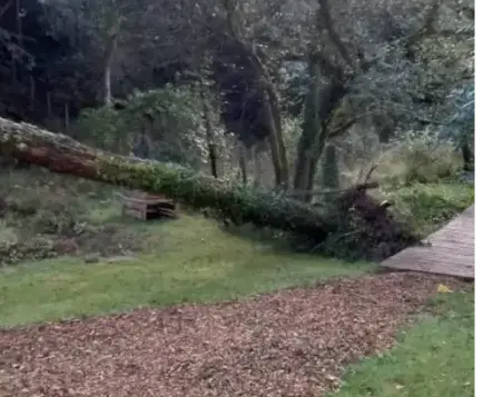 haubanage à Baud - image 3