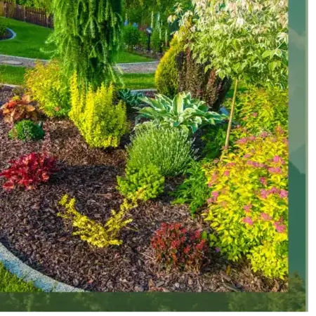 haubanage à Camors - image 2