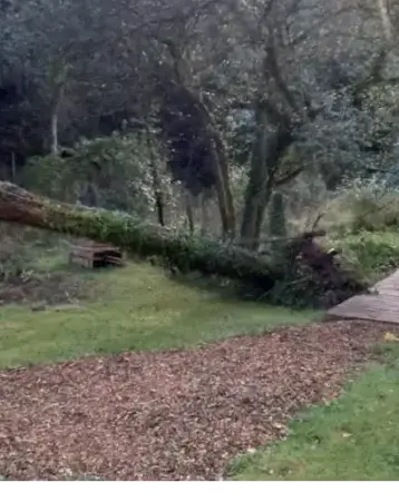 haubanage à Lorient - image 3