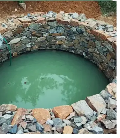 haubanage à Lorient - image 4