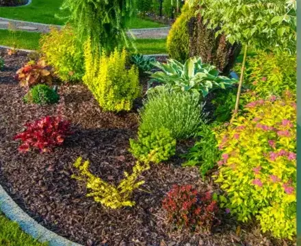 haubanage à Pluvigner - image 2