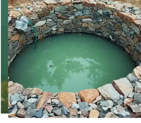 haubanage à Pluvigner - image 4