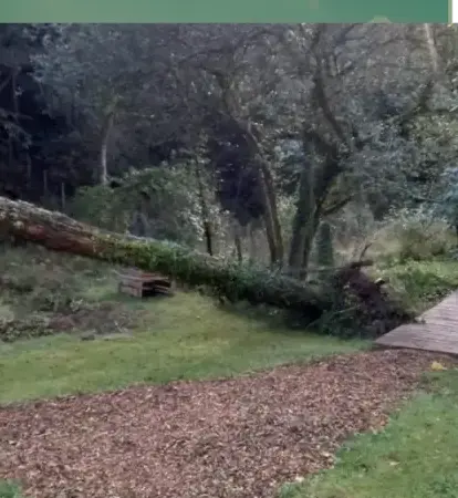 haubanage Pluvigner-5