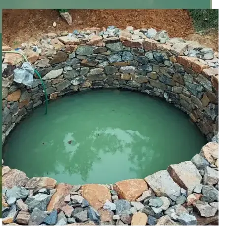 haubanage à Quistinic - image 3