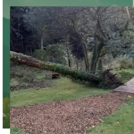 haubanage à Quistinic - image 4