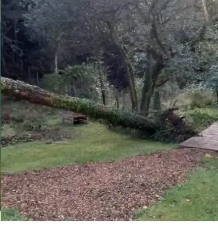 paysagiste Arradon-5