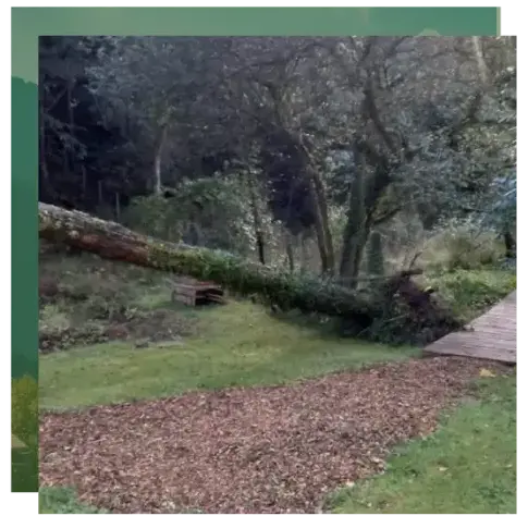 paysagiste à Camors - image 2