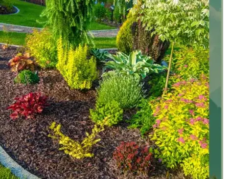 paysagiste Le Bono-2