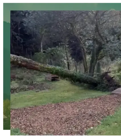 paysagiste Le Bono-4