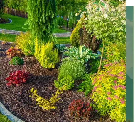 paysagiste à Lorient - image 2