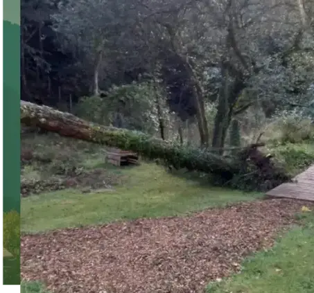 paysagiste à Lorient - image 4