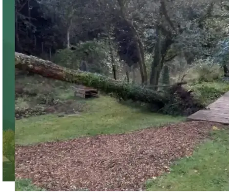 paysagiste à Pluvigner - image 2