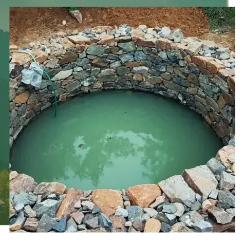 paysagiste à Quistinic - image 3