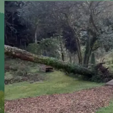 pose clôture rigide Auray-1