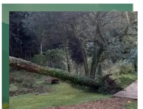 pose clôture rigide à Baud - image 4