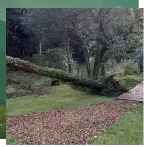 pose clôture rigide à Camors - image 2