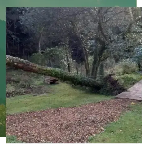 pose clôture rigide à Étel - image 3