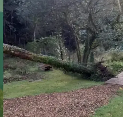 pose clôture rigide à Le Bono - image 2